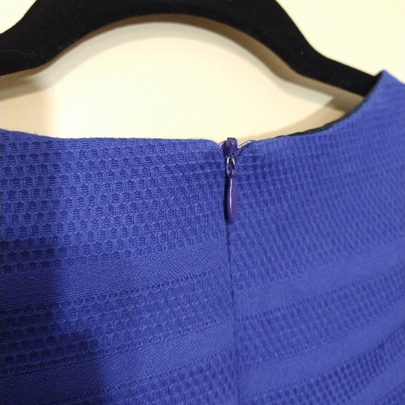 Zara Basic Royal Blue A-Line Structured Cocktail Dress With Jewel Neckline Small - Picture 11 of 14